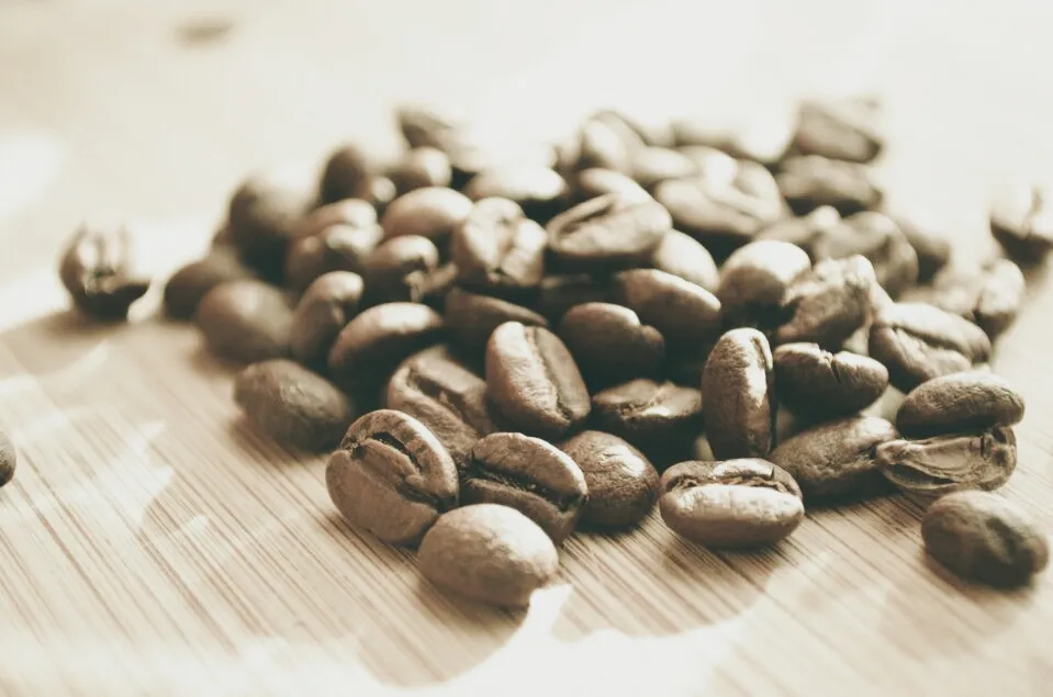 Grano de café tostado